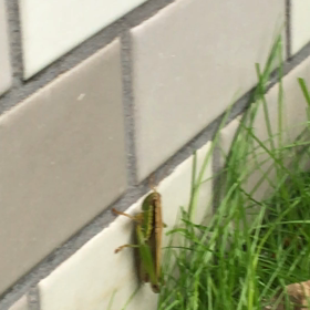 台風対策の画像