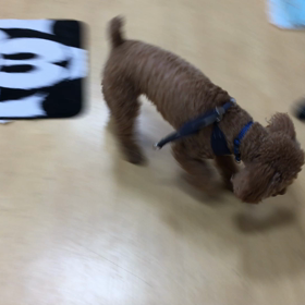 ちゃんと覚えてるね。の画像