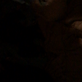 ぎんちゃんちの子供たちの画像