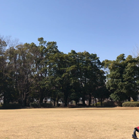 パークで親子ヨガの画像