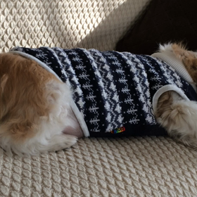 ゆさゆさの画像