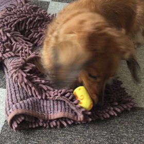 元気に遊ぶの画像