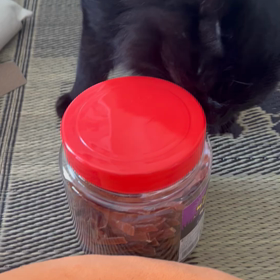 朝から格闘の画像