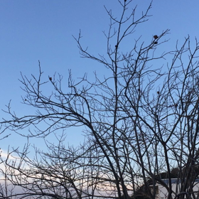 朝活24   裾広がりの夜明け。【朝動画】の画像