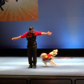 dog stunt showの画像