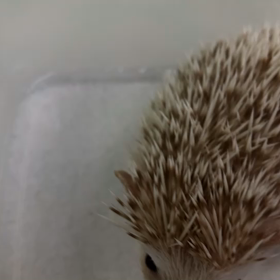 2021/02/23～3連勤中日。の画像