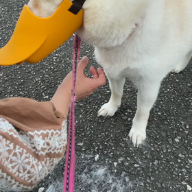 摘み摘み^ ^の画像