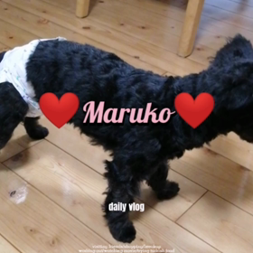 わらいろ日記 【９月２０日】の画像