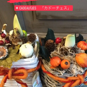 2022/10/05アマリリス球根アレンジメントの画像