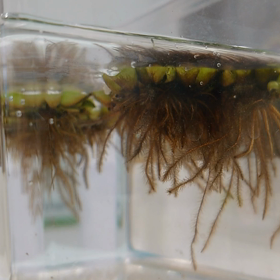 (゜ロ゜;！ 投稿できましたの画像