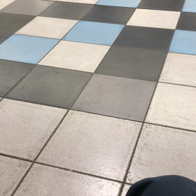 きのうのはととも／動画の画像