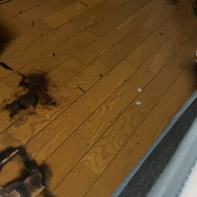 ステーリー？（笑）の画像