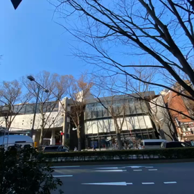 Shima散歩Tokyo渋谷〜青山通り表参道〜原宿ver.8(完)の画像