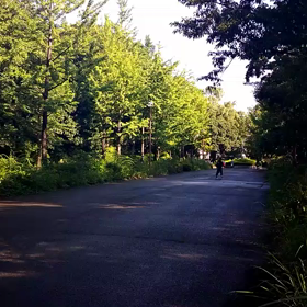 ８月１日 記録会④の画像