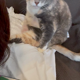 おはようございますの画像