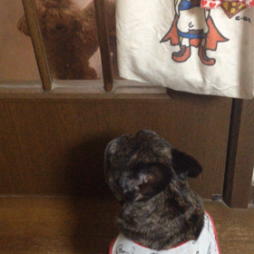 食事風景の画像