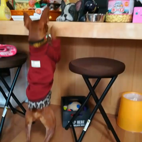 q(*･ω･*)pﾌｧｲﾄ!の画像