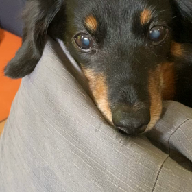 ちょーひさびさの画像