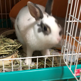 今日の師匠の画像