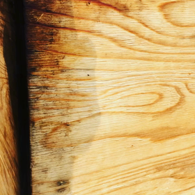 コロナで山の駅もお休み(◞‸◟)何してる？の画像