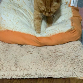 ルーティン②の画像