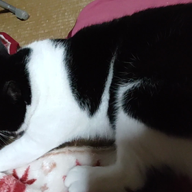 ふみふみ〜の画像