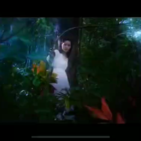 キタキタの画像