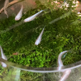 みゆきちゃんとこももちゃんの画像