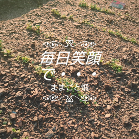 ままごと畑は・・・の画像