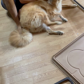 足が届かぬの画像