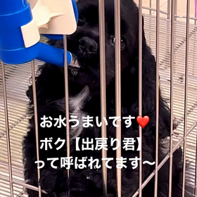 高校生の小僧が先生の画像