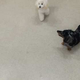 ♪プレイルーム動画♪の画像