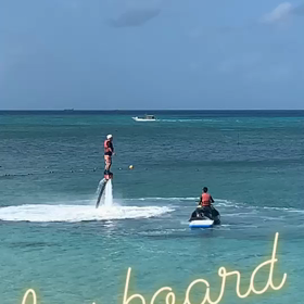 またまた写真整理……の画像