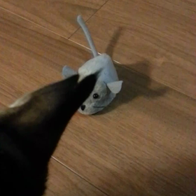 オモチャ。の画像