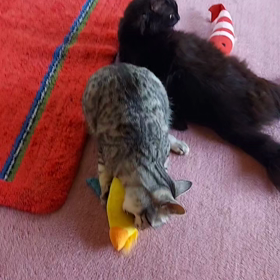 よう遊ぶ(*^^*)♪の画像