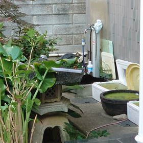 クロちゃんの画像