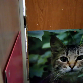 自分でやってね～！の画像