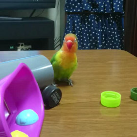 瞬間移動する？まっちゃさんの画像