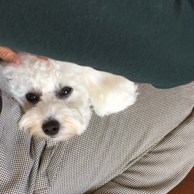 ぶらっしんぐ。の画像