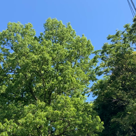 今朝ののんびりボッチランの画像