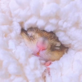 ぽかぽか天使ちゃん♡の画像