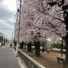 ワクチン接種3回目の画像