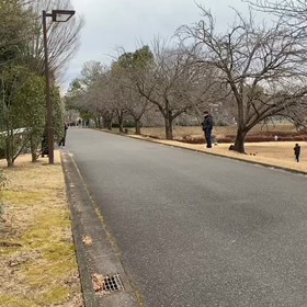 越谷春季記録会 男子リレー選考会①の画像