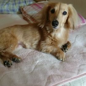 起きたかな〜？の画像