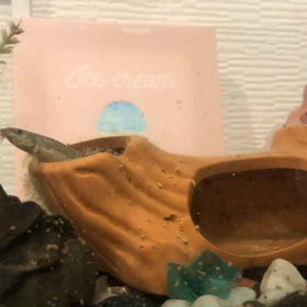 機敏なドジョウ丸の画像