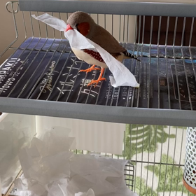 勝ってるの画像