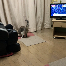 昼休みにサクッと更新の画像