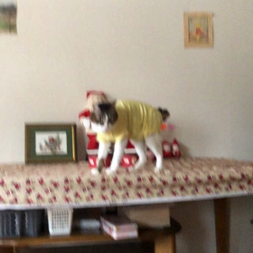 昨日の夜ジム活。デール術後服生活2ヶ月半…の画像