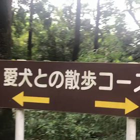 ♪お散歩動画♪砧公園♪の画像