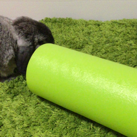 なんですかこれは？の画像